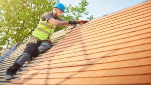 Best Roof Moss and Algae Removal  in Elk Rapids, MI