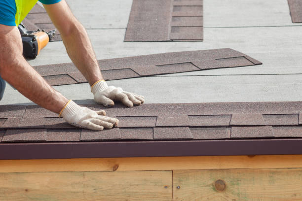 Best Sheet Metal Roofing  in Elk Rapids, MI